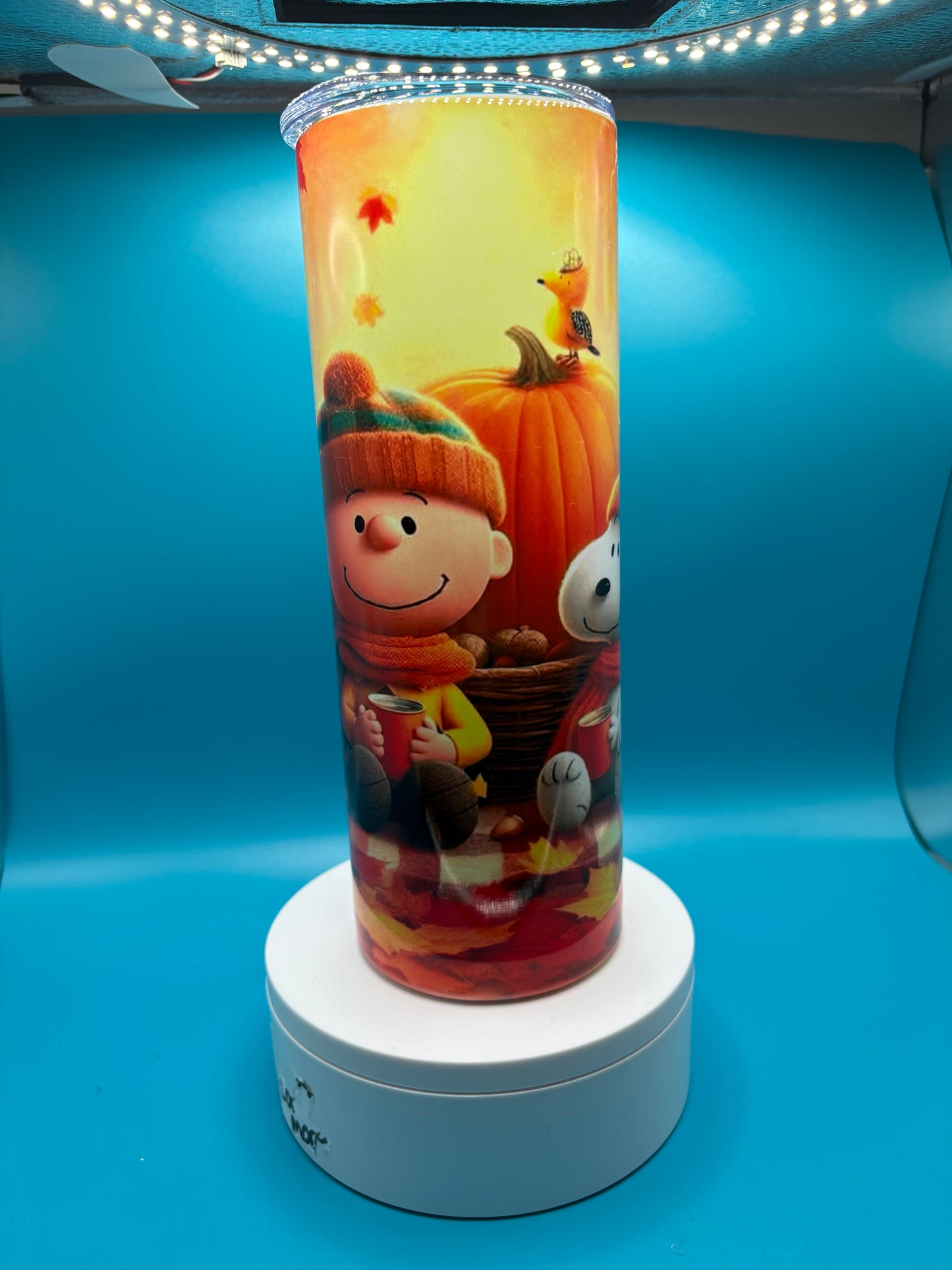 Charlie Brown fall Sublimation Tumbler