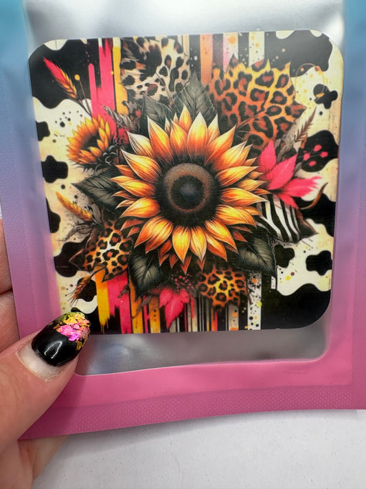 Cowhide sunflower